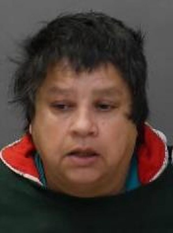 police search for missing toronto woman judith sylvester