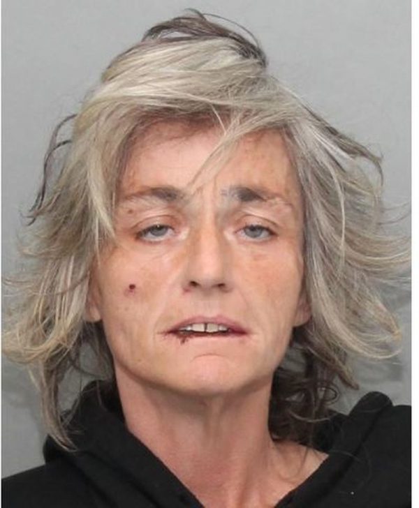 police search for missing toronto woman lori chisholm