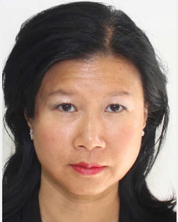 police search for missing toronto woman stella wong