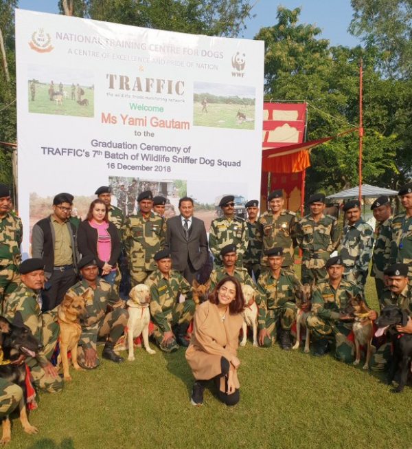 Yami Gautam becomes the face for World Wildlife Fund and Traffic India’s Super Sniffers campaign!