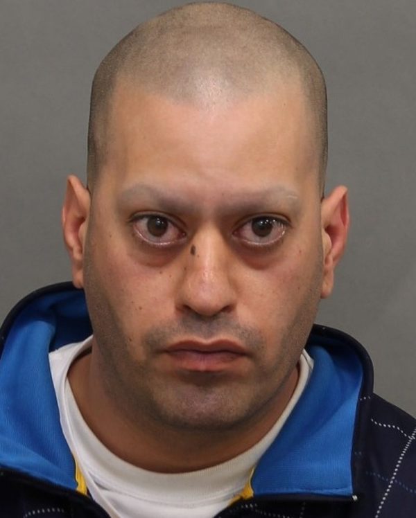 police search for missing toronto man ali kiamarz milani