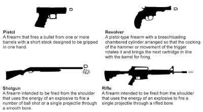 the federal government and the gun culture