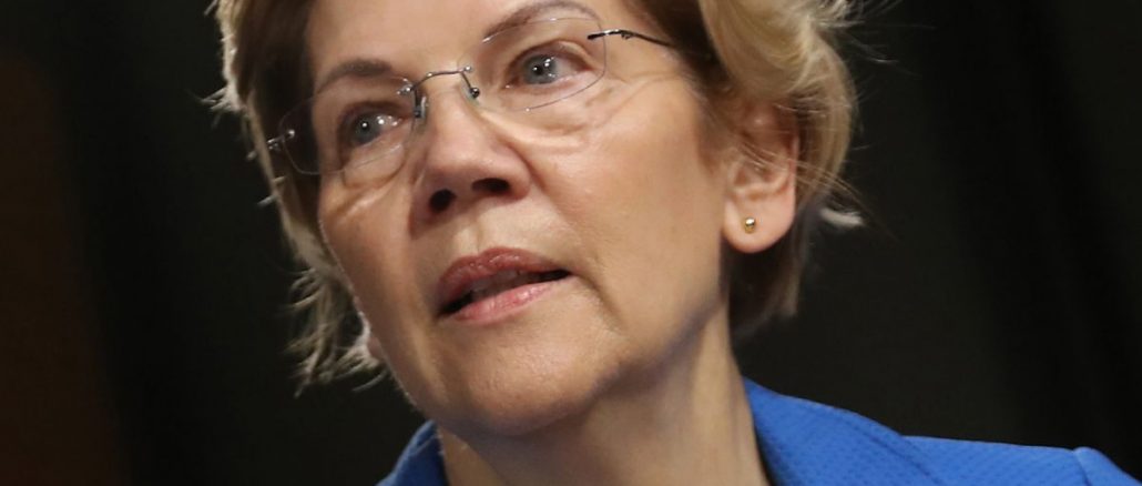 Warren Klobuchar 2020,