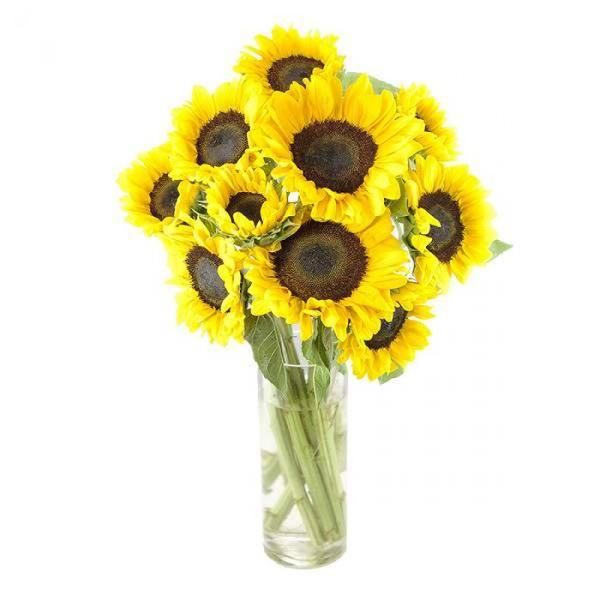 Best Online Flower Shops,