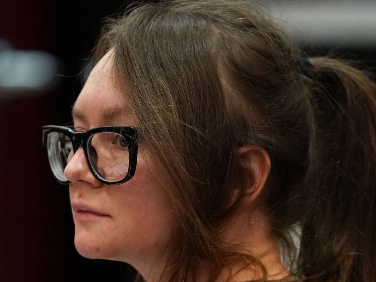 Anna Delvey Sentencing,