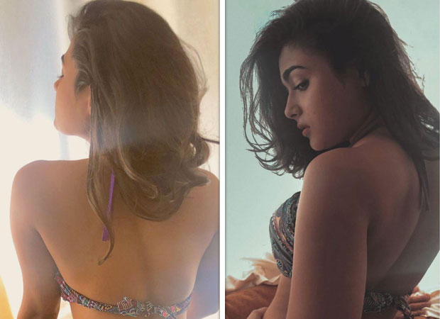 Arjun Reddy actress Shalini Pandey sizzles in a bikini as she sets the internet on fire! 