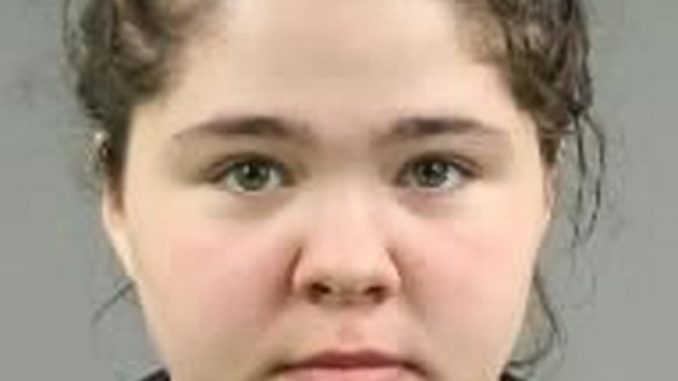 Police search for missing Toronto girl Abigail Dormer