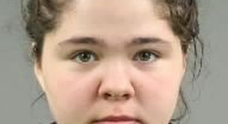 police search for missing toronto girl abigail dormer