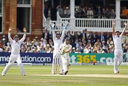 cricket.jpg