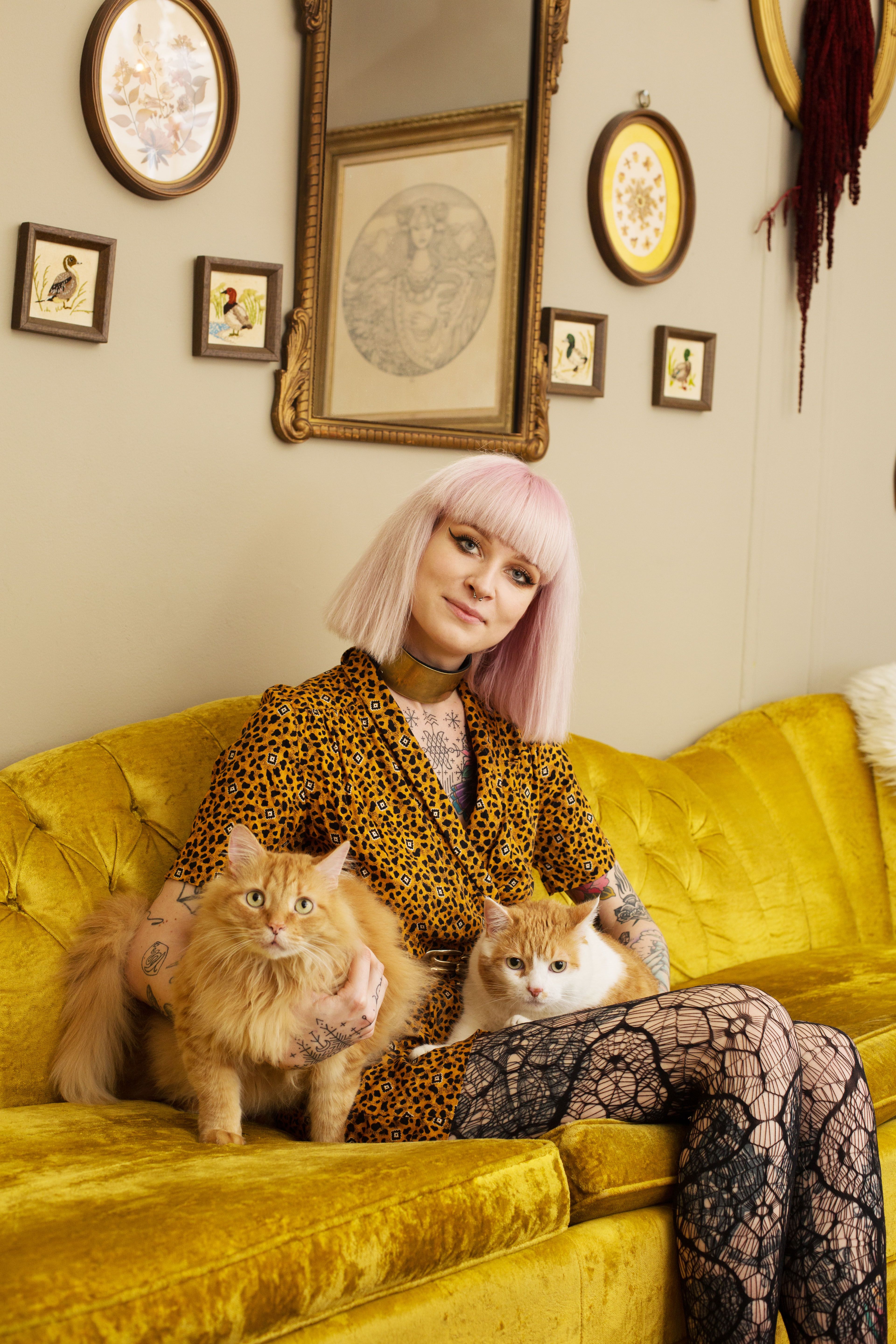 Cool Cat Ladies,