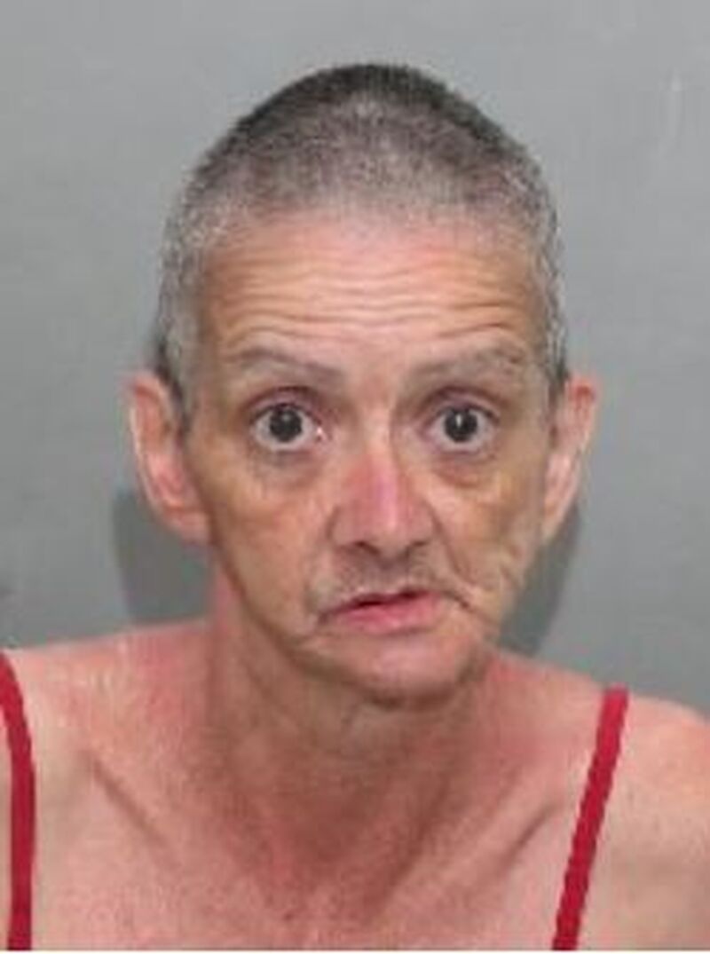 police search for missing toronto woman gail steele (deano)