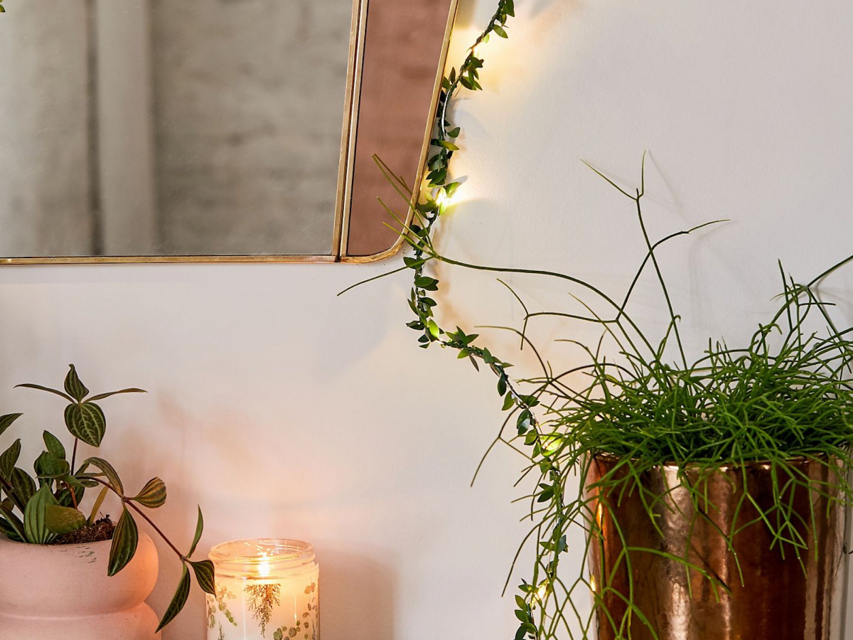 Chic String Lights,