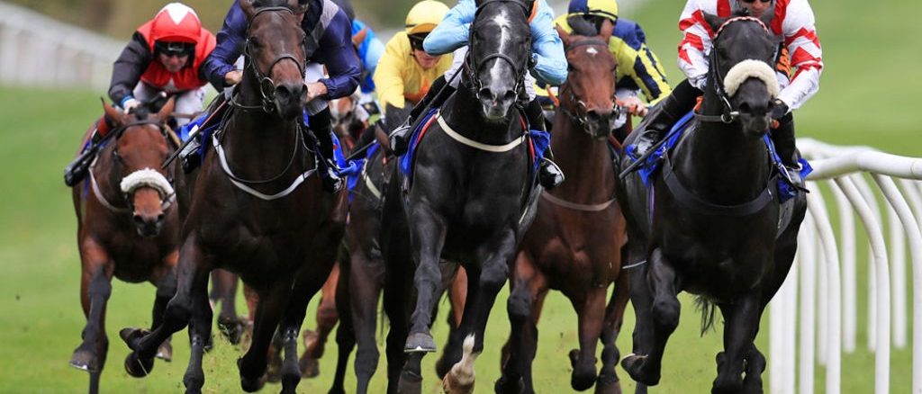 betting horse racing,