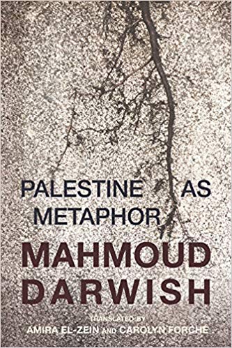 book review Palestine as Metaphor,