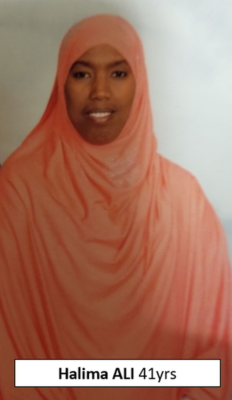 police search for missing toronto woman halima ali and two children
