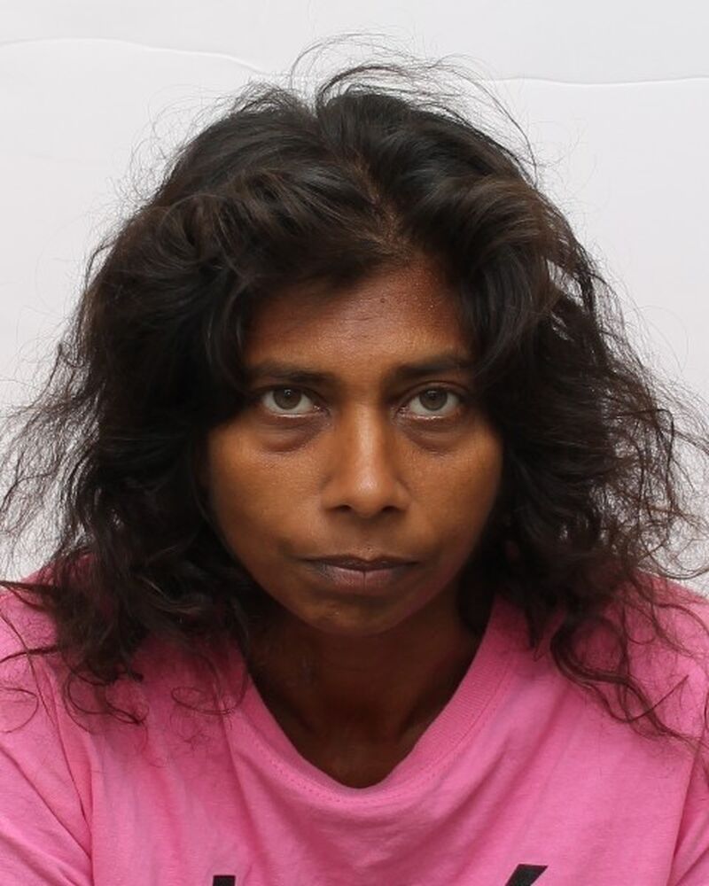 police search for missing toronto woman bharathy balasundaram