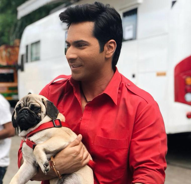 coolie no. 1: varun dhawan has an adorable company on the sets