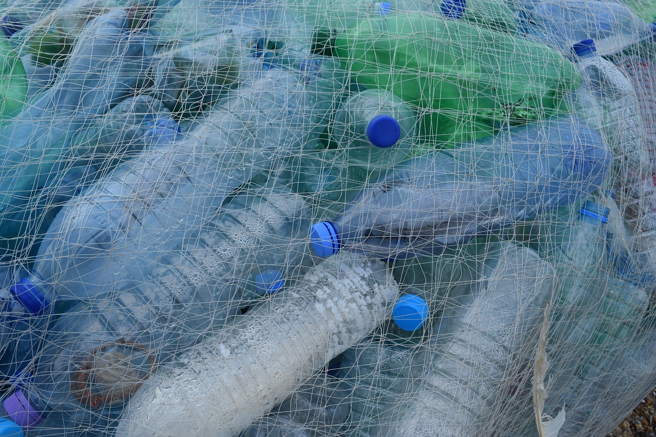 Jacob Gitman Dangers of Plastics