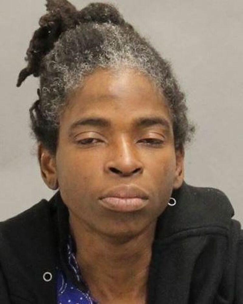 police search for missing toronto woman rockel smith