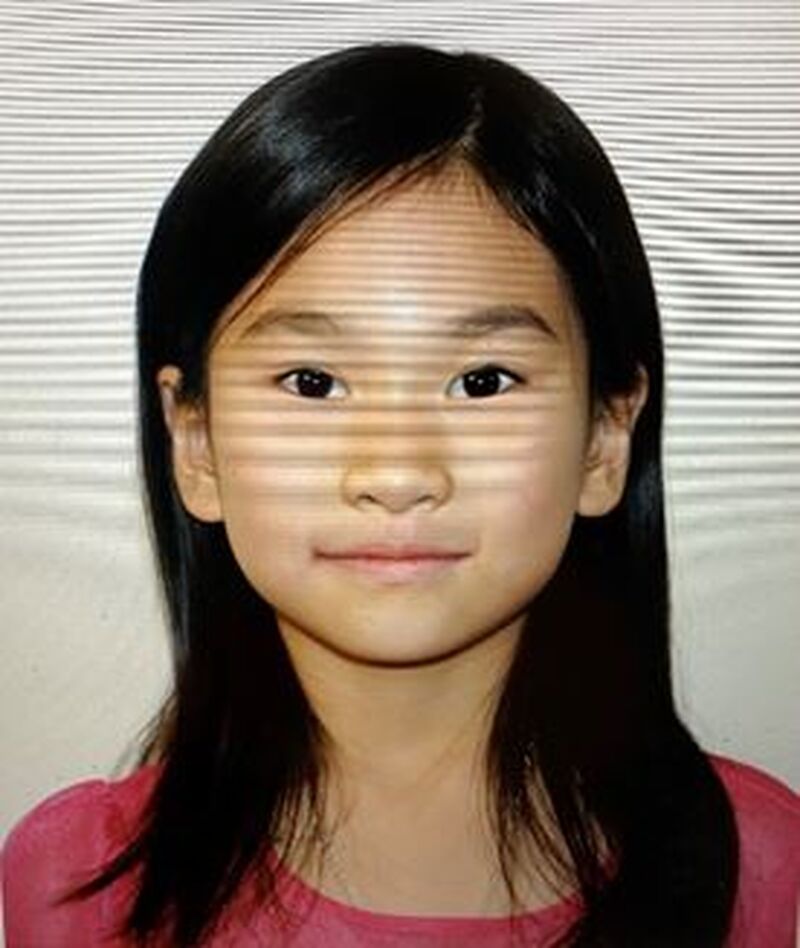 police search for missing toronto girl lucia li