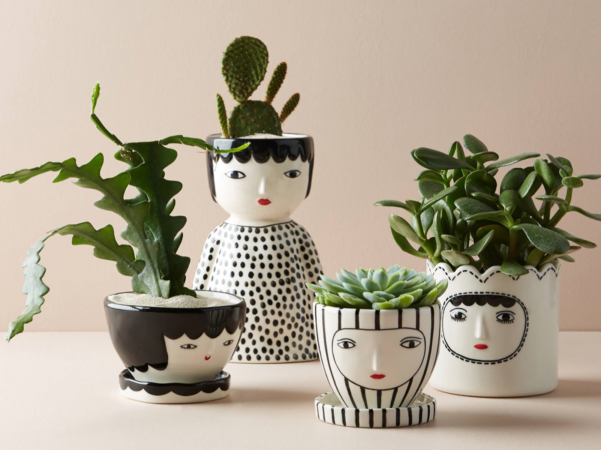 Plant Queen Guide To Green Gifts,