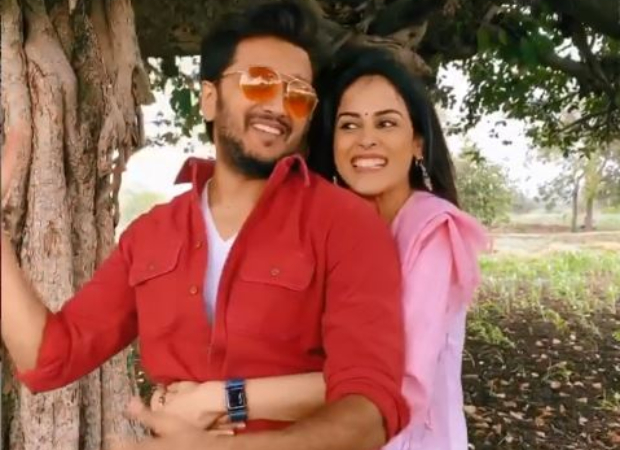 Genelia and Riteish Deshmukh dance in the fields of Latur to celebrate 17 years of Tujhe Meri Kasam  