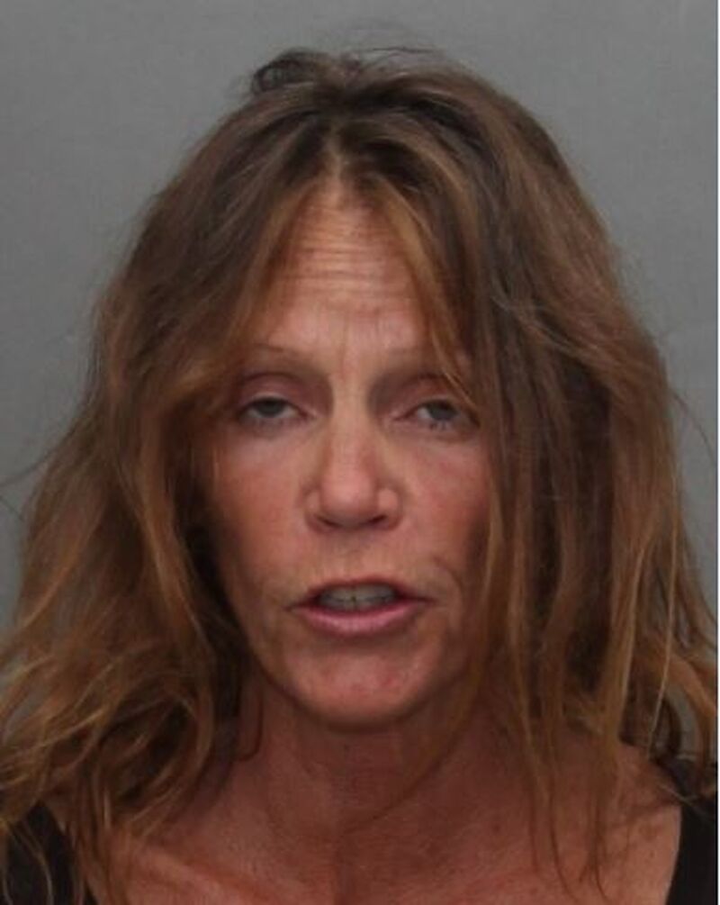police search for missing toronto woman kari reay