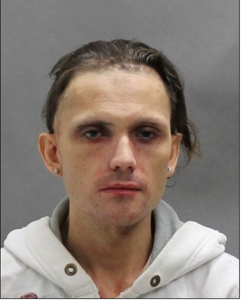 police search for missing toronto woman michelle slaa