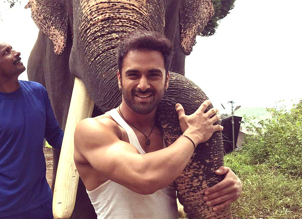 Pulkit Samrat bonds with his co-star, Unni the elephant, on the sets of Haathi Mere Saathi