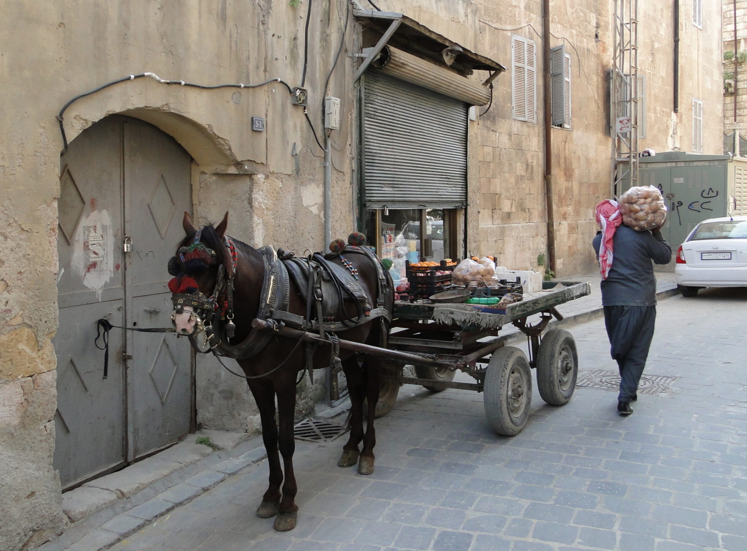 Zakariya Tamer’s The Policeman and the Horse,