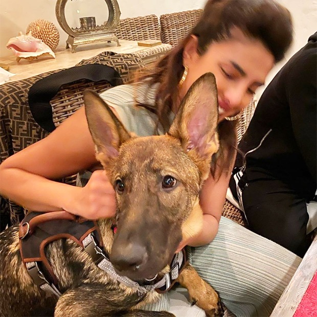 Amid Coronavirus outbreaks, Priyanka Chopra chills her time at home with some serious cuddle therapy