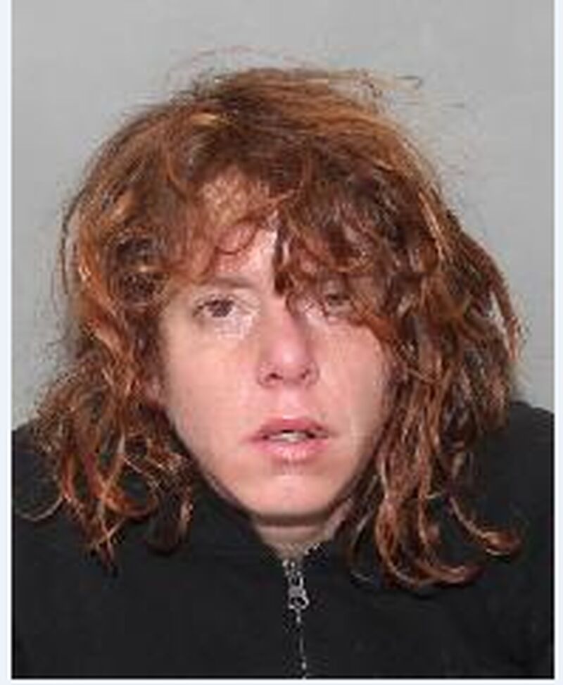 police search for missing toronto woman carolyn loewen