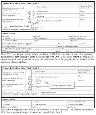 Redefining COVID-19 Deaths World Health Organization Way,