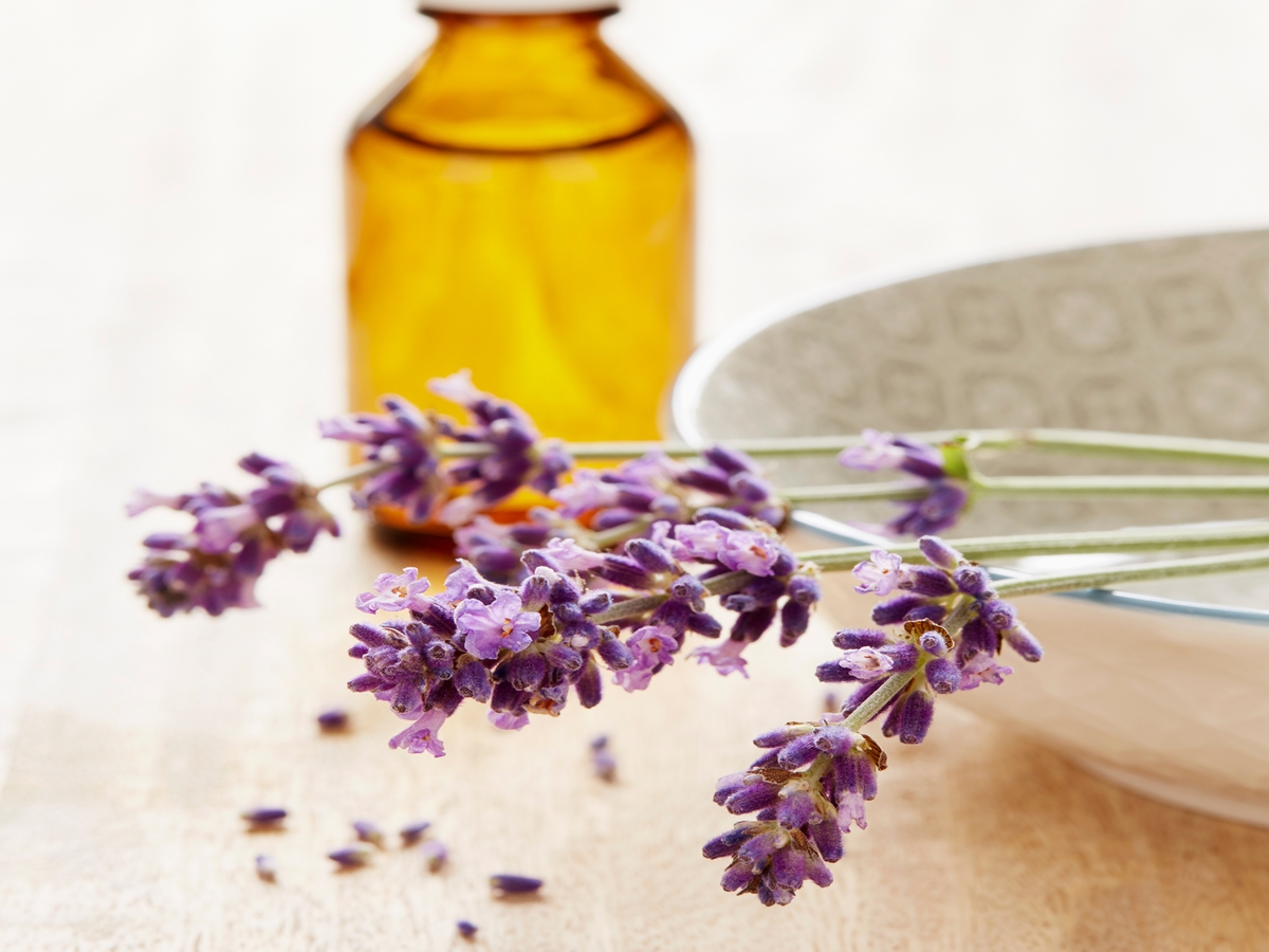 Lavandula Angustifolia Hurting Your Skin,