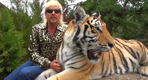 nicolas cage is perfect casting to play joe exotic