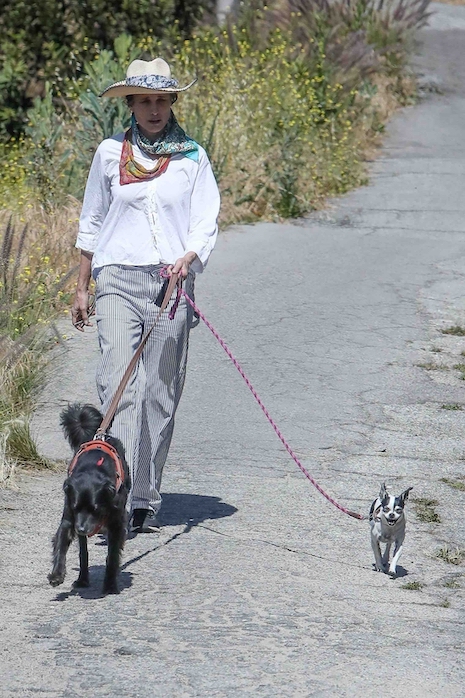 andie macdowell is walking with her best friends