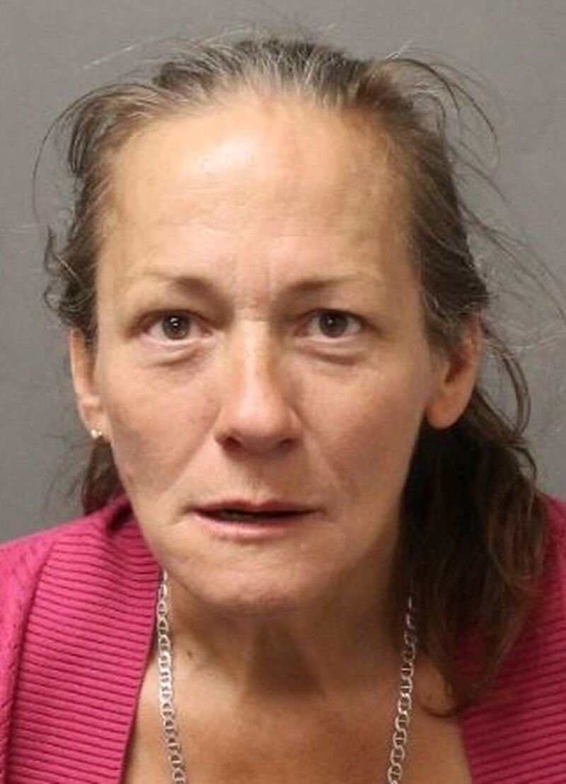 police search for missing toronto woman sherri jones