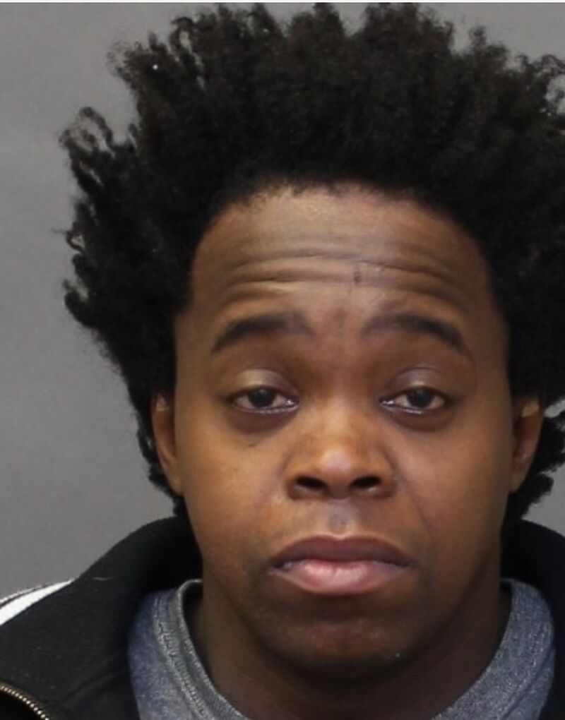 police search for missing toronto man lebohang nicol