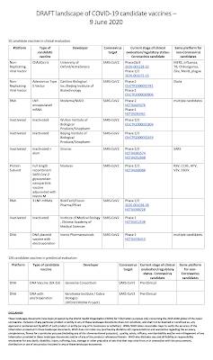 World Health Organization's Consistent Inconsistencies,