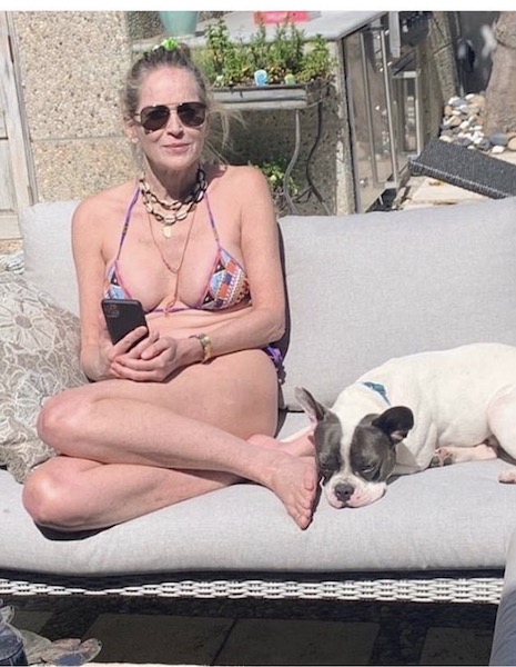 sharon stone is ready for anything