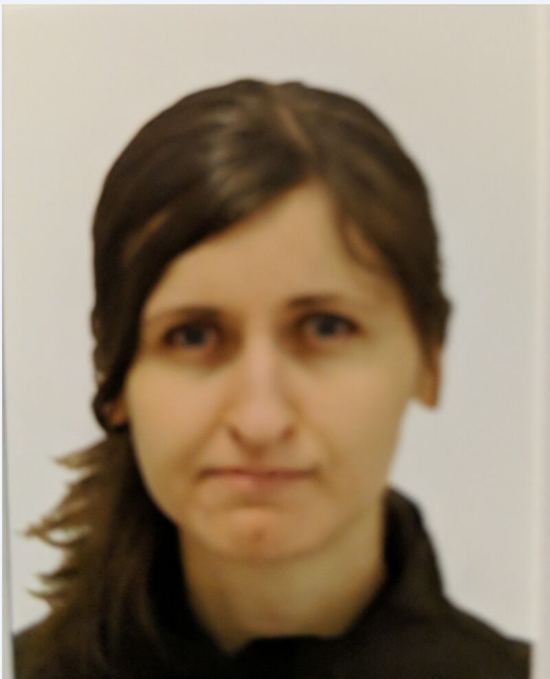 police search for missing toronto woman alina yakovleva