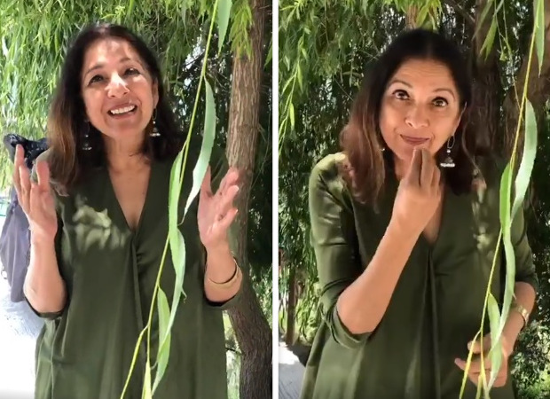 Neena Gupta adopts new sign language in order to converse with her husband in this lockdown 