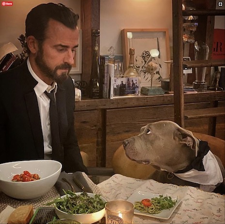 justin theroux and his constant companion