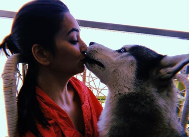 Kriti Kharbanda shares a special bond with Pulkit Samrat's pet dog and her Instagram posts are proof