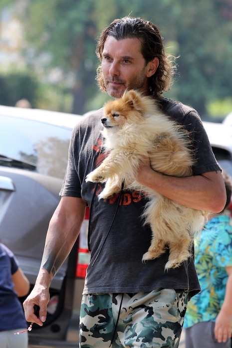 gavin rossdale’s one true love