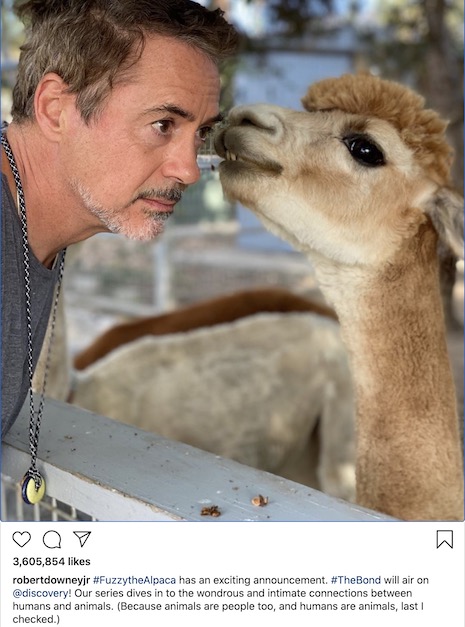 robert downey jr got a safe pandemic kiss