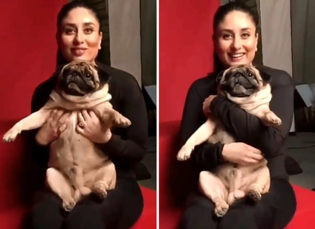 Kareena Kapoor Khan roped in as the brand ambassador of Drools, India’s leading dogs and cat’s nutrition brand in India