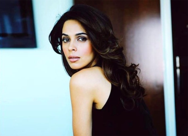 Mallika Sherawat has the most apt response to a Twitter user who blamed her films for violence against women