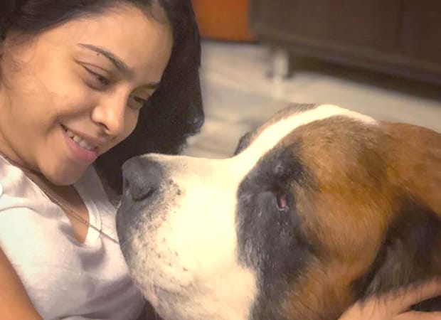 Sumona Chakravarti of The Kapil Sharma Show bids adieu to her pet dog Rooney after 12.5 years