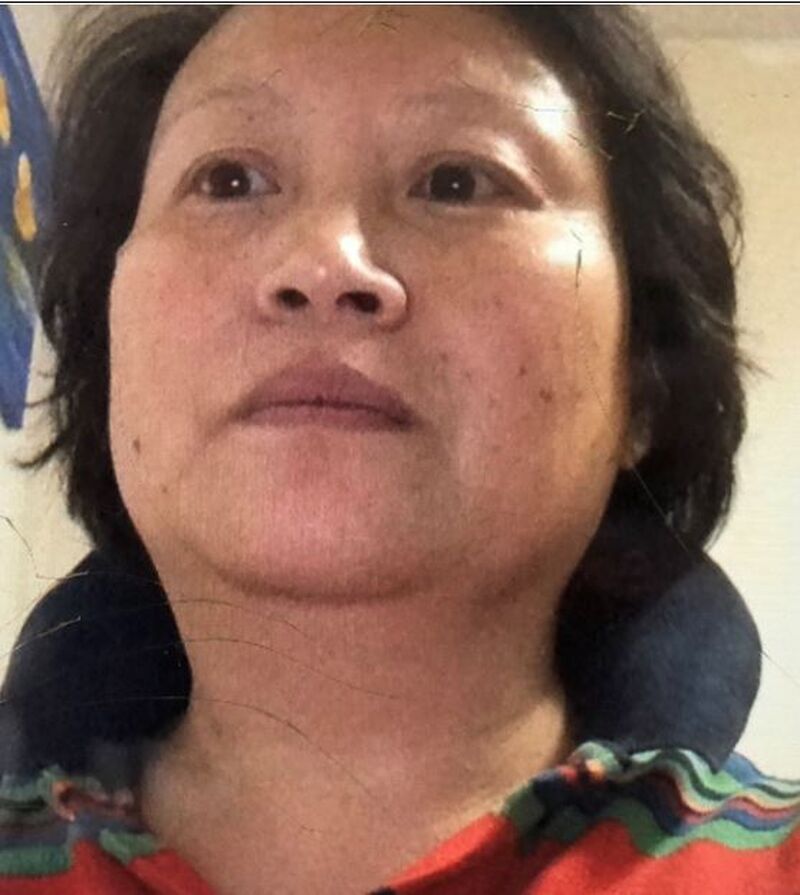 police search for missing toronto woman baomei lin